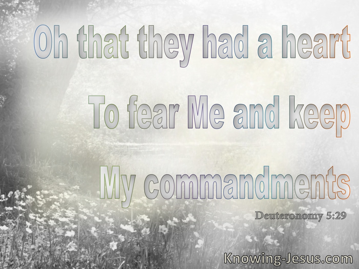 Deuteronomy 5:29 That They Had A Heart To Keep My Commandments (gray)